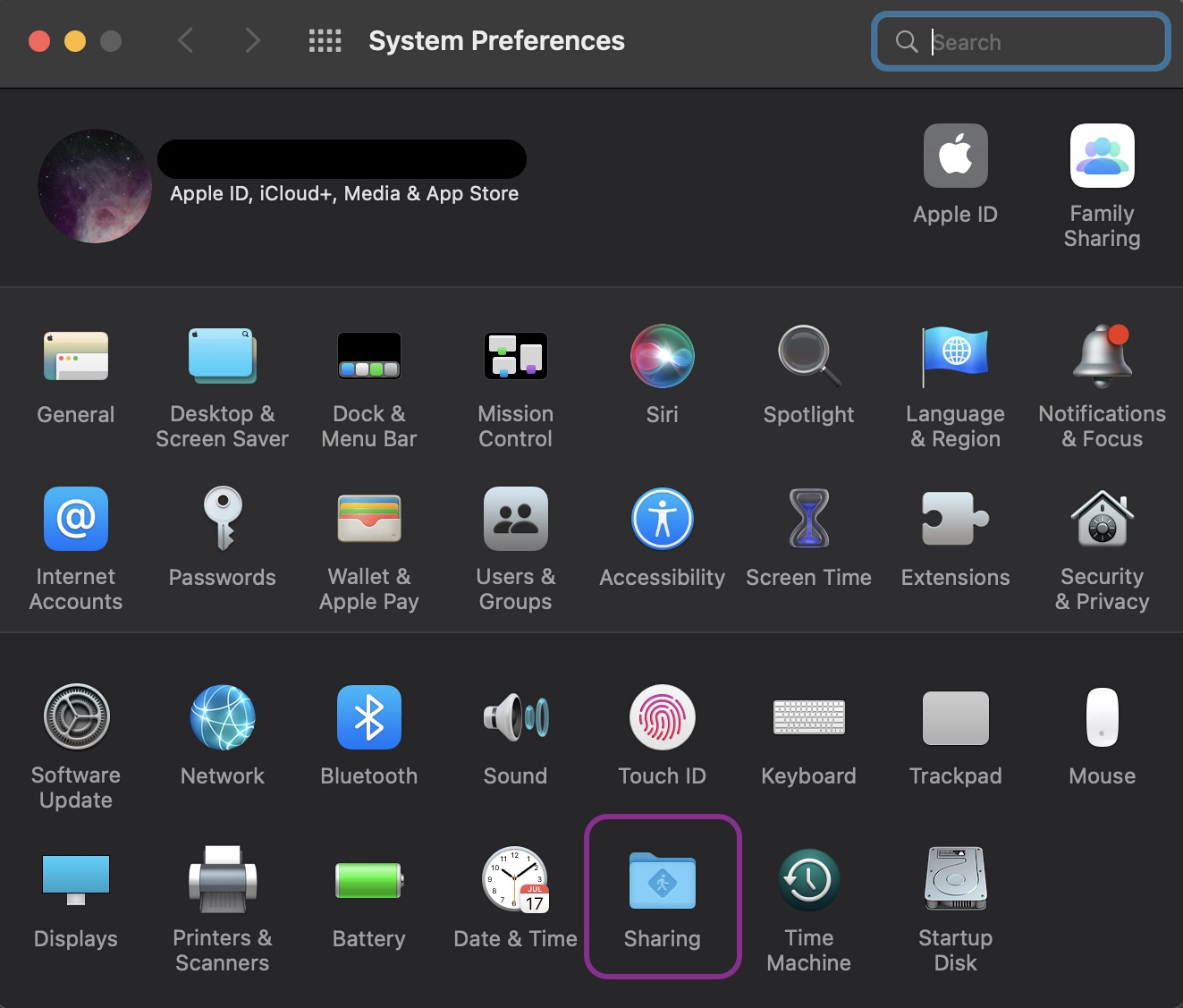 System Preferences with Sharing highlighted